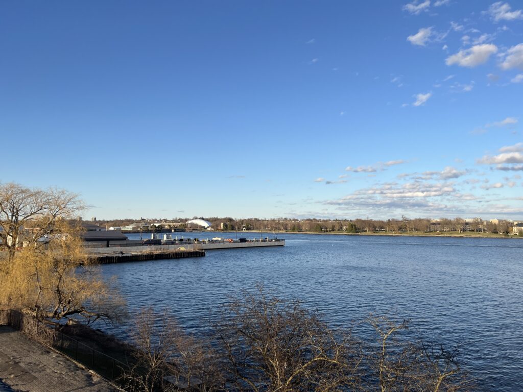 View from my hotel room over the harbour in Kingston