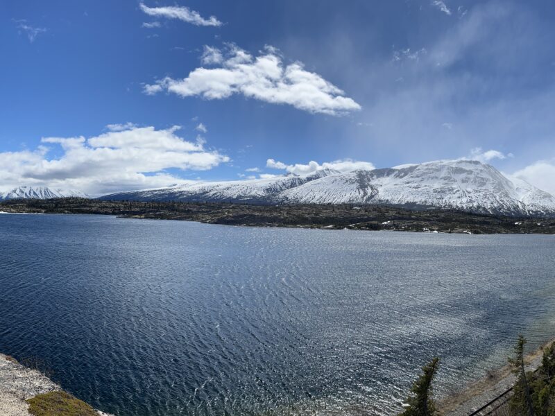 Post-move visit through the White Pass
