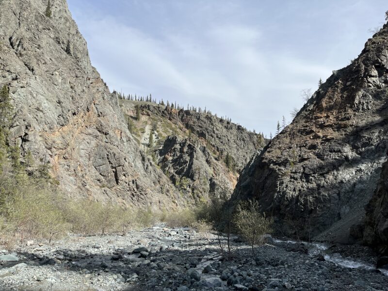 Williscroft Canyon and a Kluane Daytrip