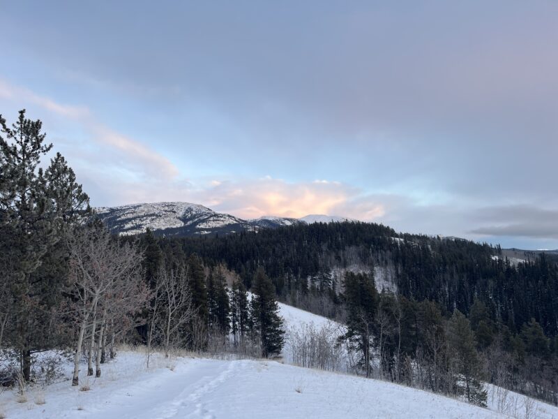 A new favourite trail above Riverdale