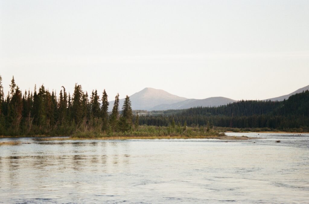 a river bending with a forested island in the foreground and mountains in the background