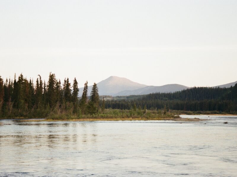 Bright summer evenings in Whitehorse on film