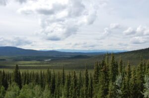 wetlands, forest, and mountains