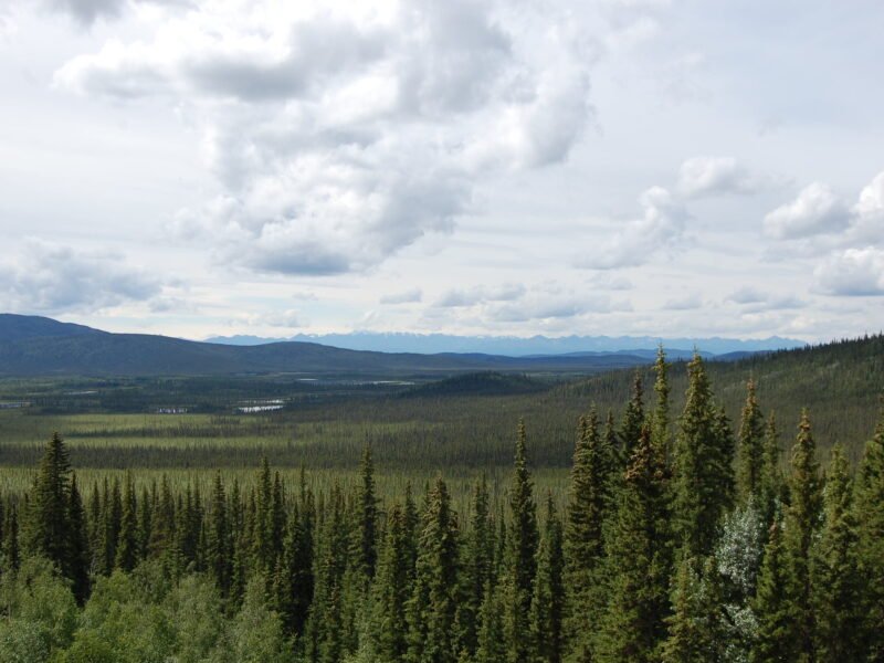 Driving from Whitehorse to Copper Center