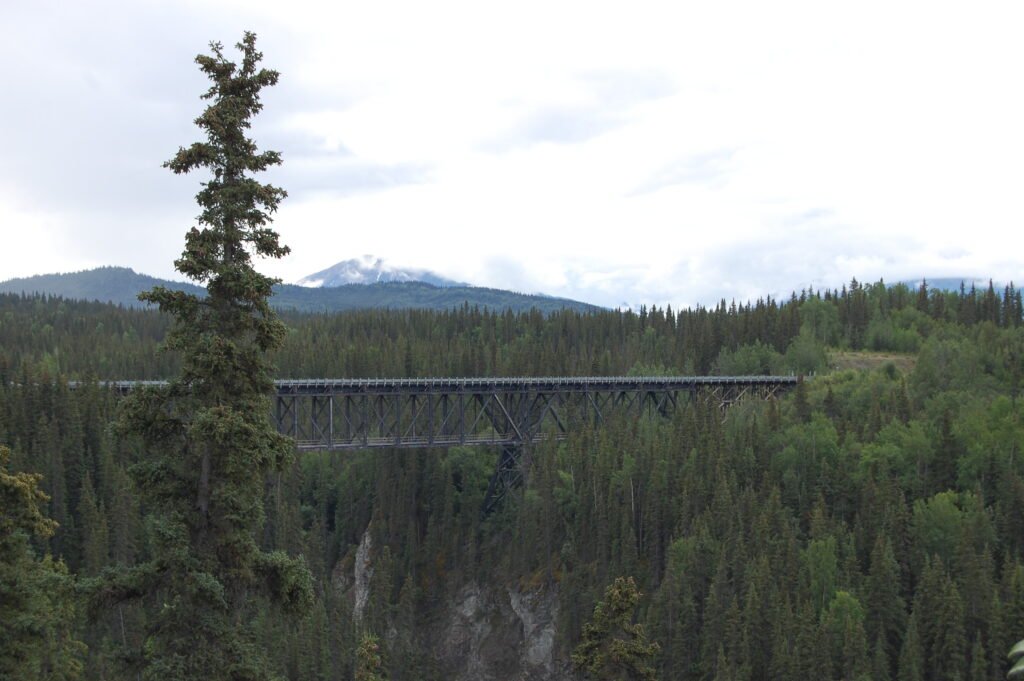 a steel trestle bridge sanning a small canyon