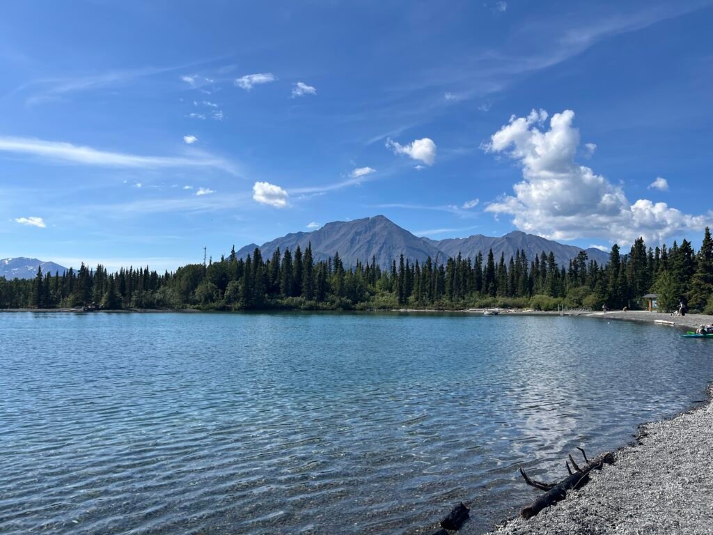 a gravelly beach with some driftwood, trees on the near shore, and rocky mountains jutting from behind