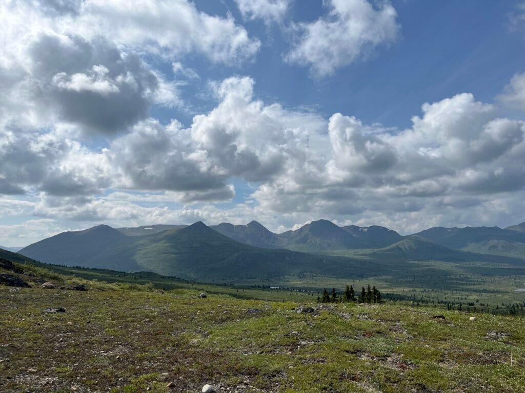 mountains and alpine zone